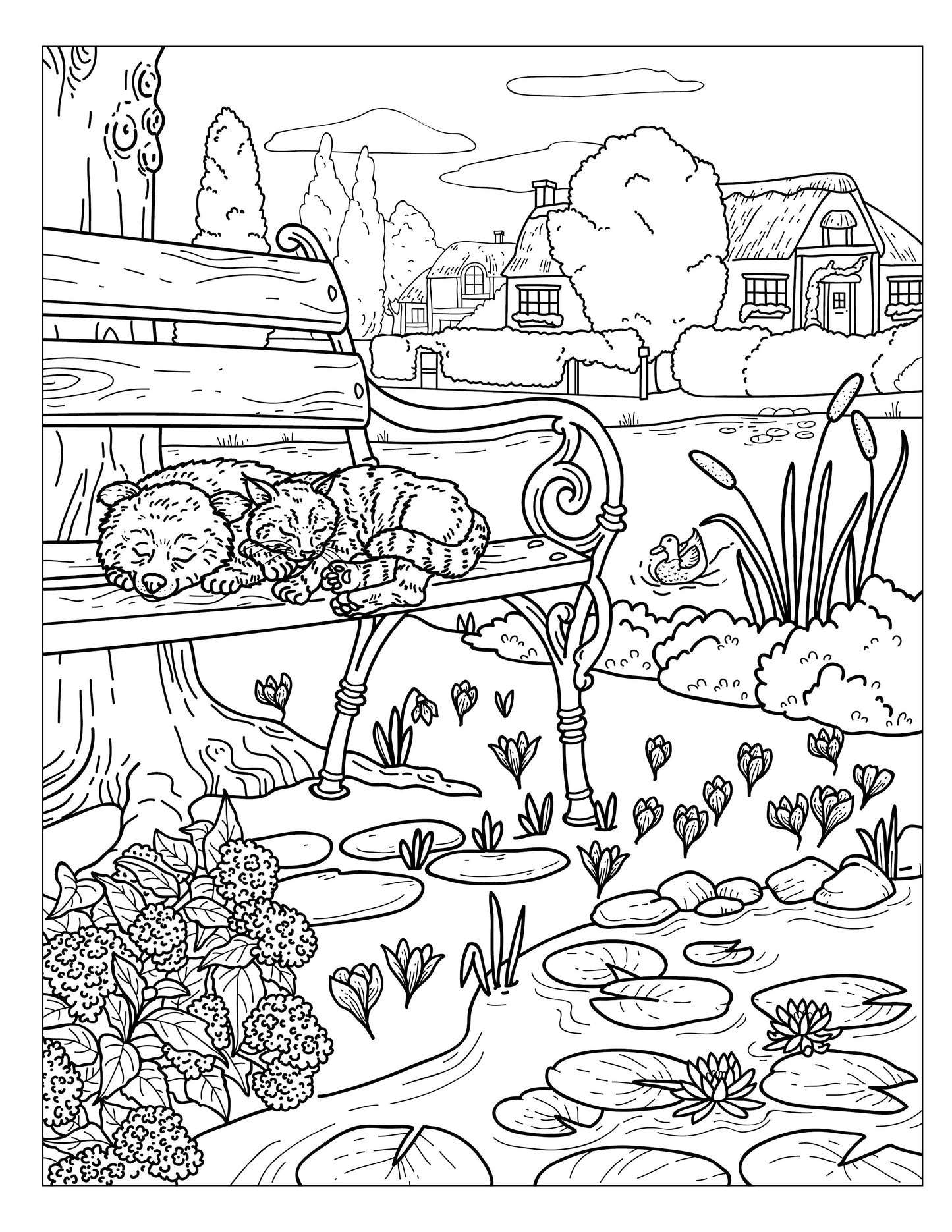 Single Coloring Book Page - Winston & Whiskers, Adventure One - A Nap by the Pond