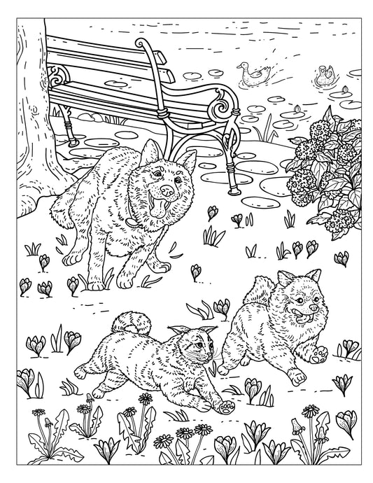 Single Coloring Book Page - Winston & Whiskers, Adventure One - Diesel!