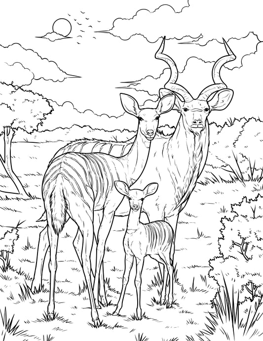 Single Coloring Book Page - Greater Kudu and Calf - Digital Print-from-Home